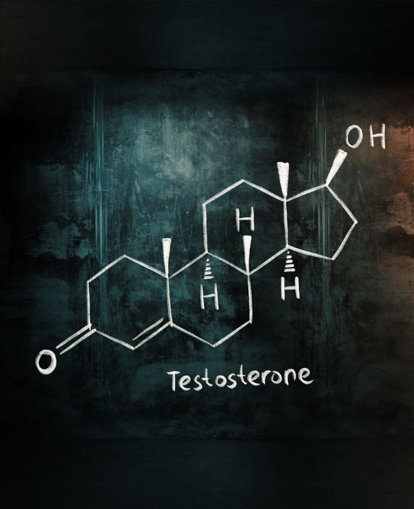 Testosterone 101: A Guide to Understanding Testosterone