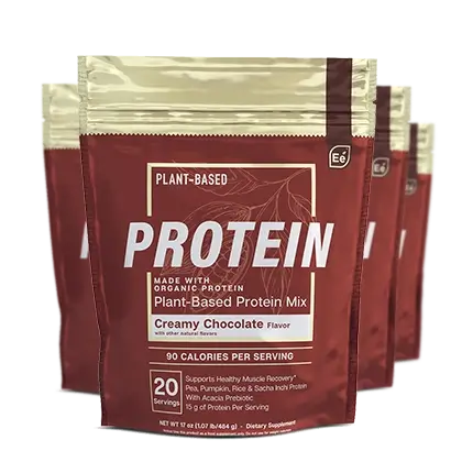 Creamy Chocolate Protein